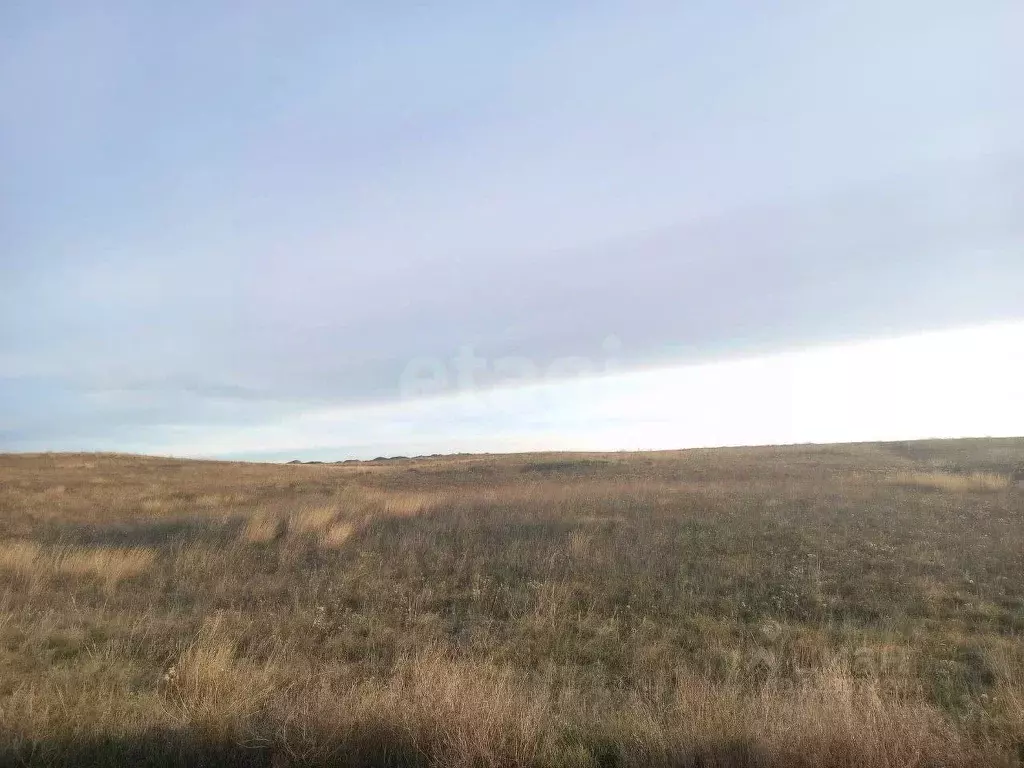 Участок в Крым, Ленинский район, Семисотское с/пос, с. Каменское ул. ... - Фото 1