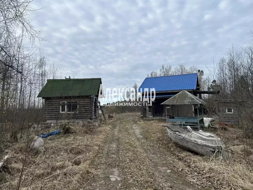 Дом в Ленинградская область, Приозерск ул. Дачная, 15 (49 м) - Фото 1