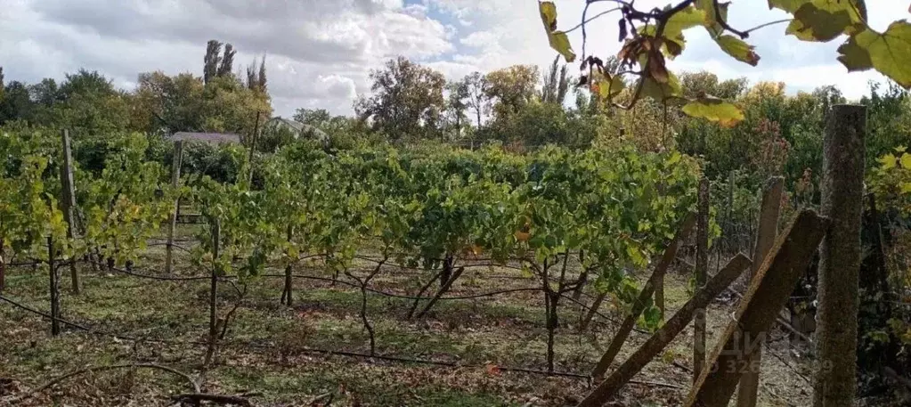 Участок в Крым, Кировский район, Первомайское с/пос, с. Первомайское ... - Фото 2