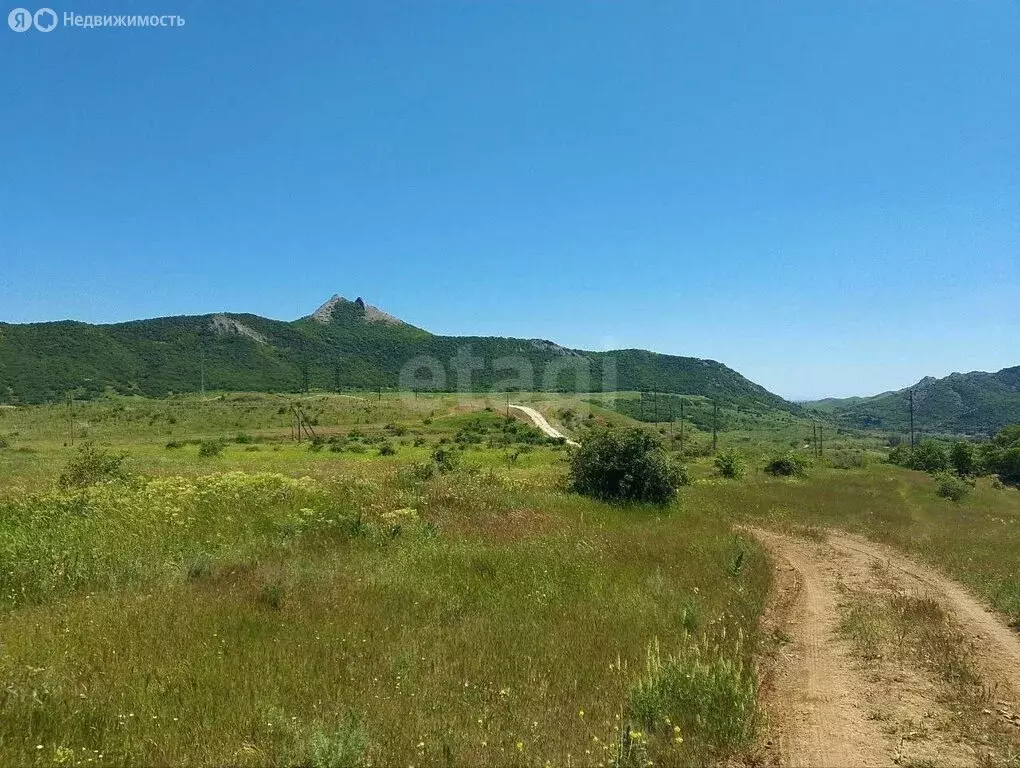 Участок в Республика Крым, муниципальный округ Феодосия, ДП Коктебель ... - Фото 2