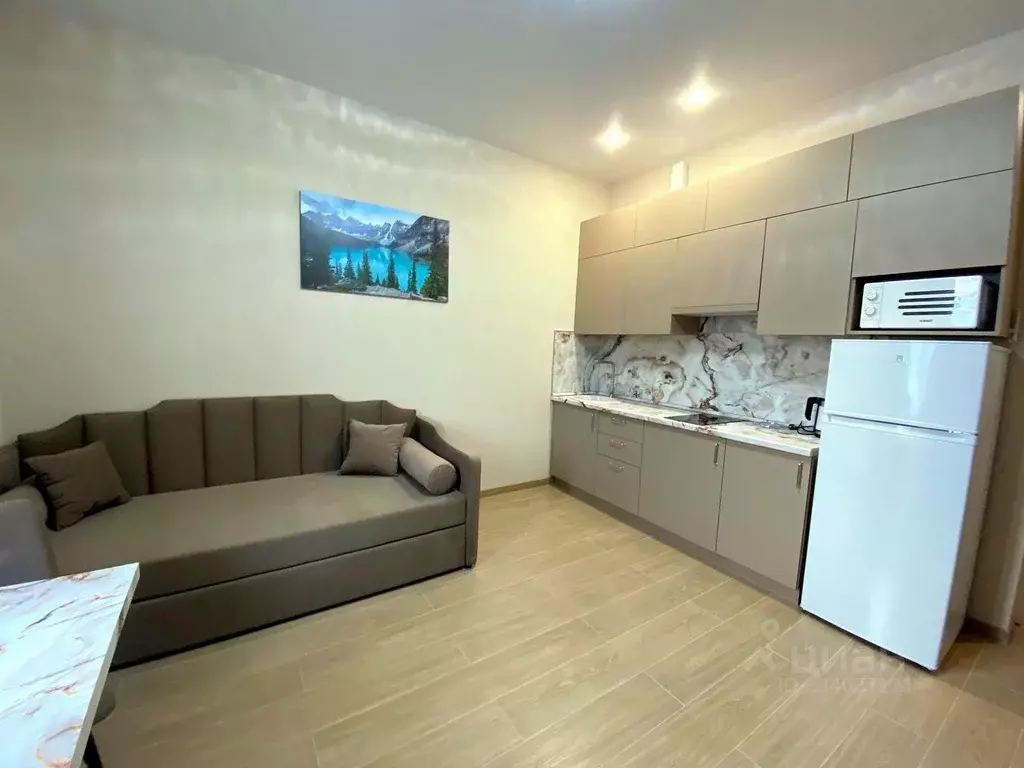 Студия Московская область, Химки Сходня мкр, ул. Ватутина, 7 (25.0 м) - Фото 1