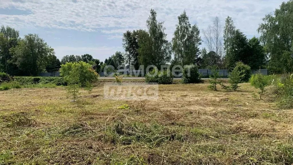 Участок в Ивановская область, Ивановский район, Беляницкое с/пос, д. ... - Фото 2
