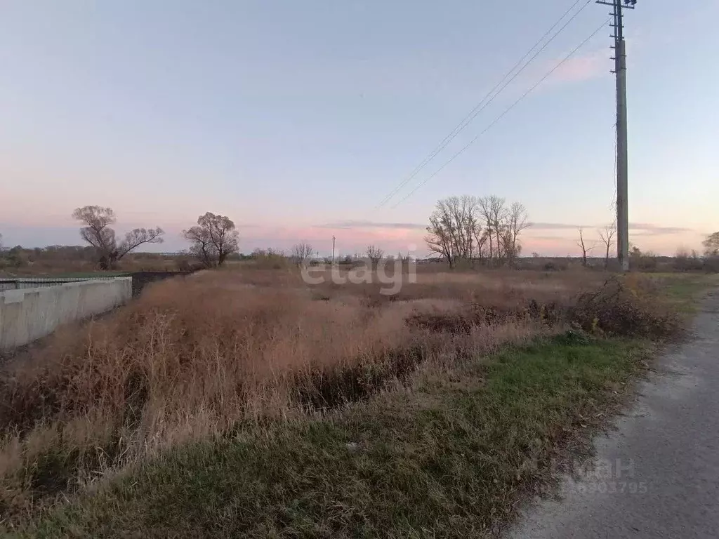 Участок в Белгородская область, Алексеевский муниципальный округ, с. ... - Фото 1