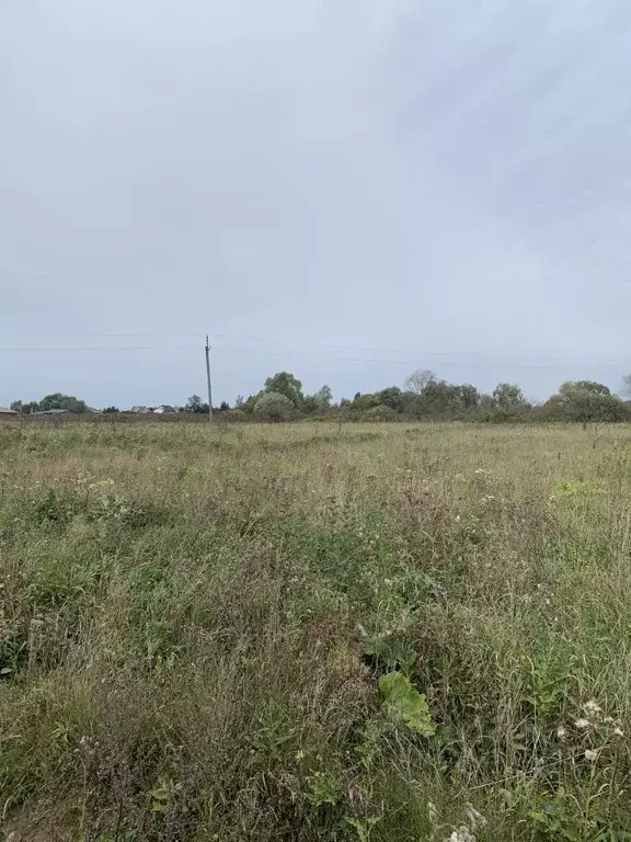 Участок в Тверская область, Калининский муниципальный округ, д. ... - Фото 1