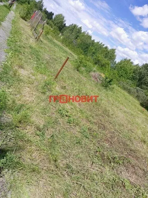 Участок, 12 сот., сельхоз (снт или днп) - Фото 1