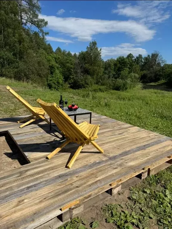 Дом в Челябинская область, Нязепетровск ул. Осипенко, 2 (24 м) - Фото 2