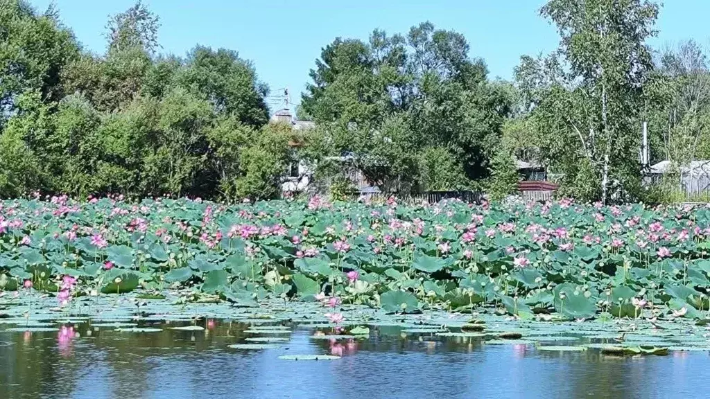 Дом в Хабаровский край, Хабаровский район, с. Черная Речка, Озерки СНТ ... - Фото 1