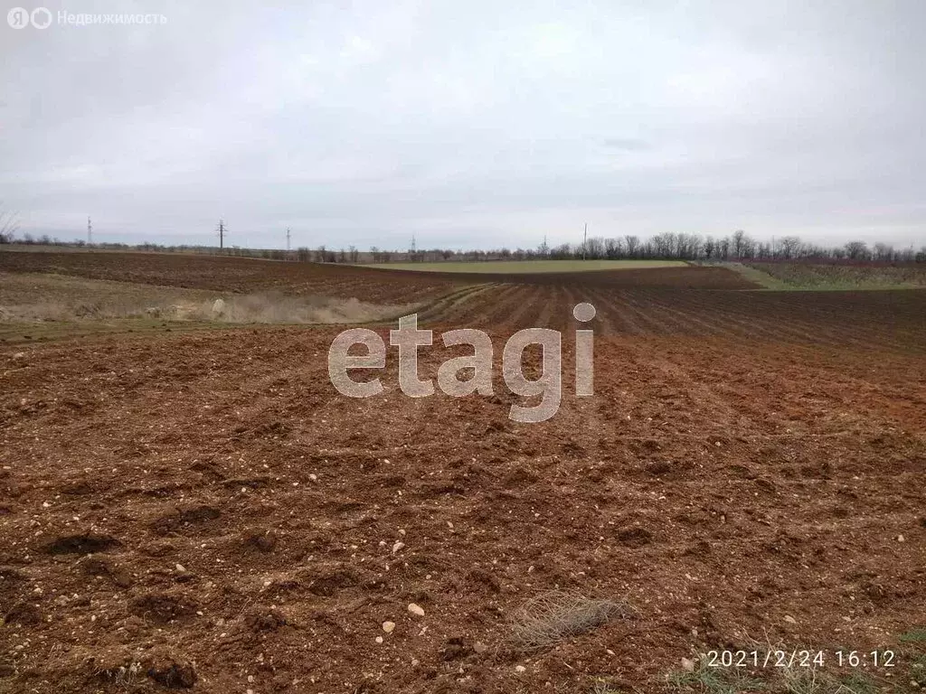 Участок в Сакский район, село Ивановка (41 м) - Фото 0