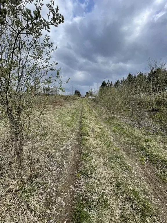 Участок в Свердловская область, Верх-Нейвинский пгт ул. Яковлева (15.0 ... - Фото 2
