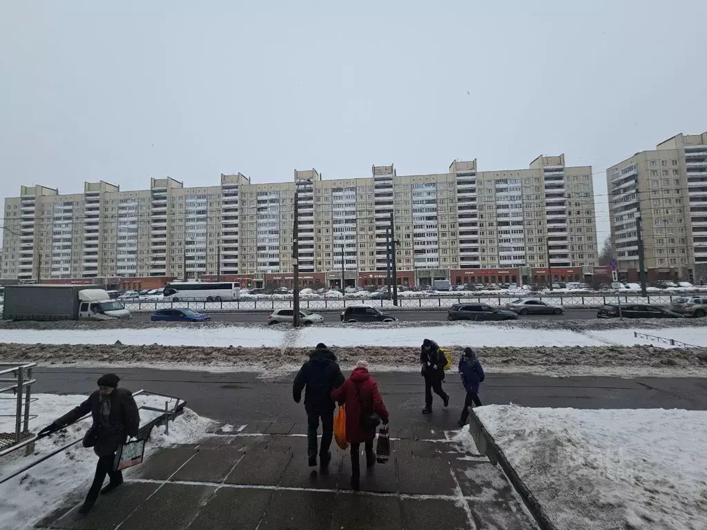 Торговая площадь в Санкт-Петербург просп. Просвещения, 76 (100 м) - Фото 2