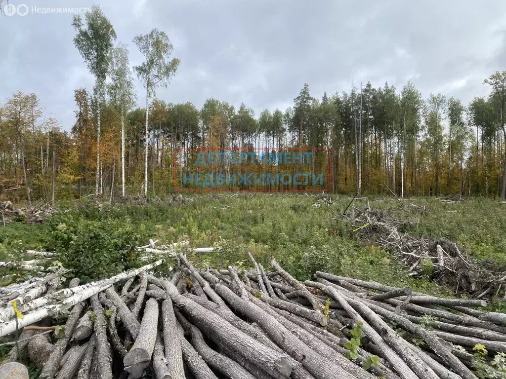 Участок в Димитровград, улица Курчатова, 8 (10 м) - Фото 1