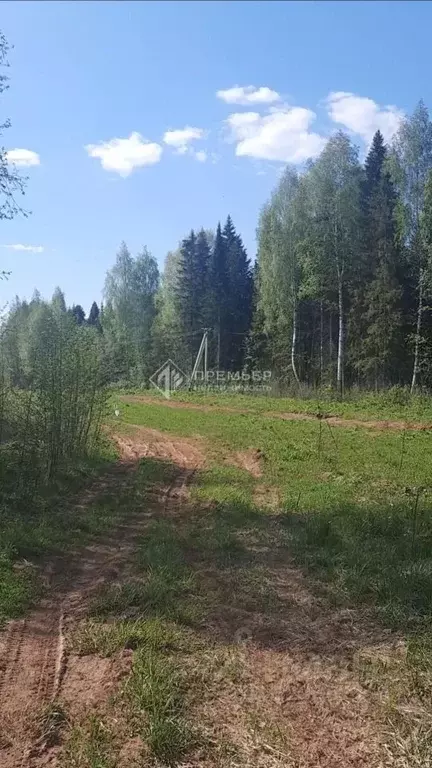 Участок в Кировская область, Киров  (307.0 сот.) - Фото 2