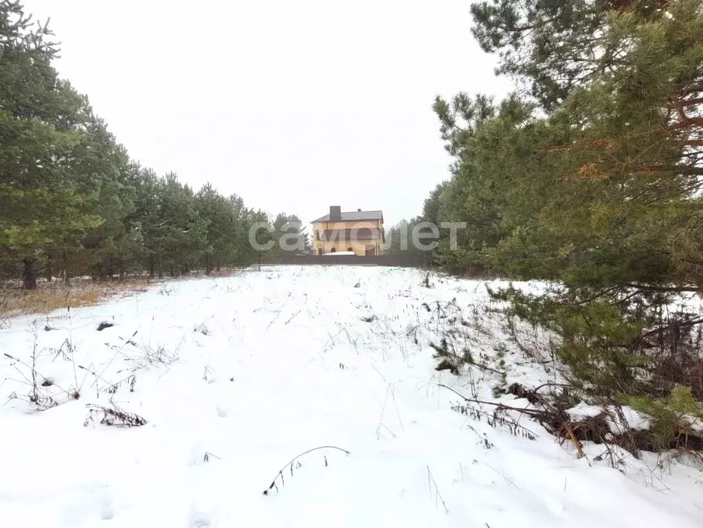Участок в Калужская область, Дзержинский муниципальный округ, Дворцы ... - Фото 1