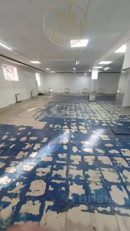 Торговая площадь в Ставропольский край, Ессентуки Кисловодская ул., 61 ... - Фото 2