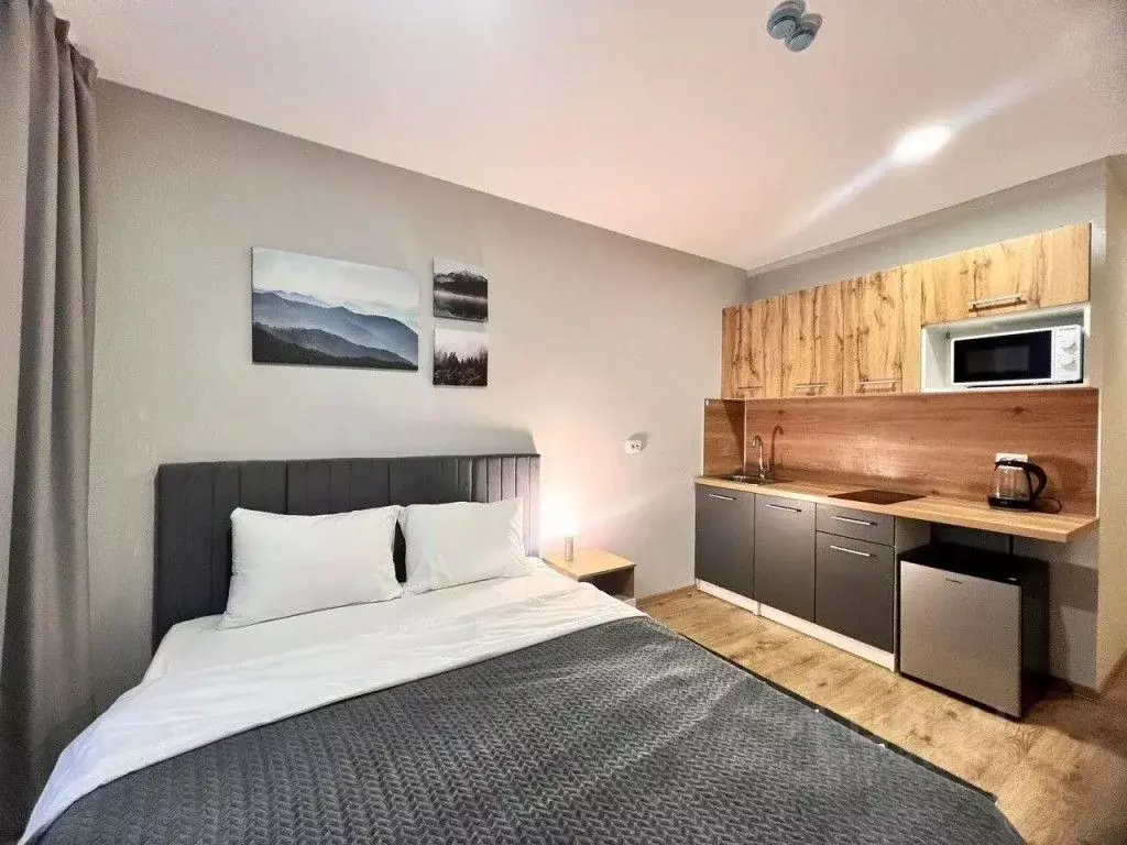 1-к кв. Санкт-Петербург пос. Парголово, проезд Толубеевский, 8к2 (20.0 ... - Фото 2