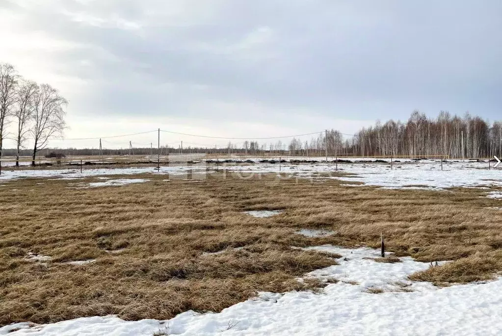 Участок в Новосибирская область, Новосибирский район, Криводановский ... - Фото 1