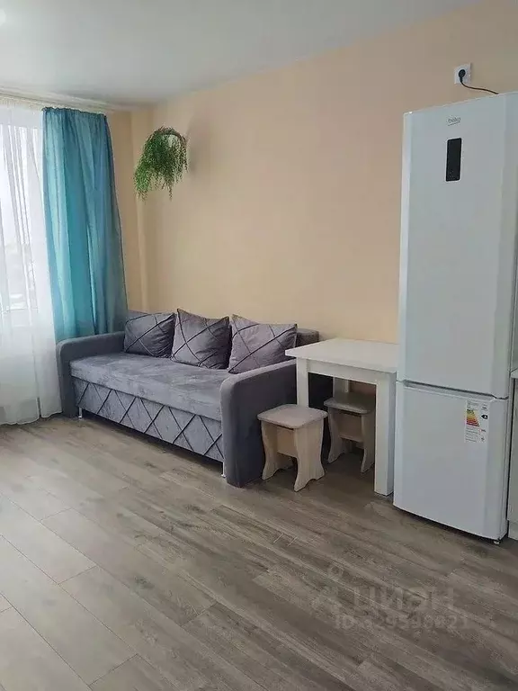 Студия Московская область, Химки городской округ, д. Рузино, ... - Фото 1
