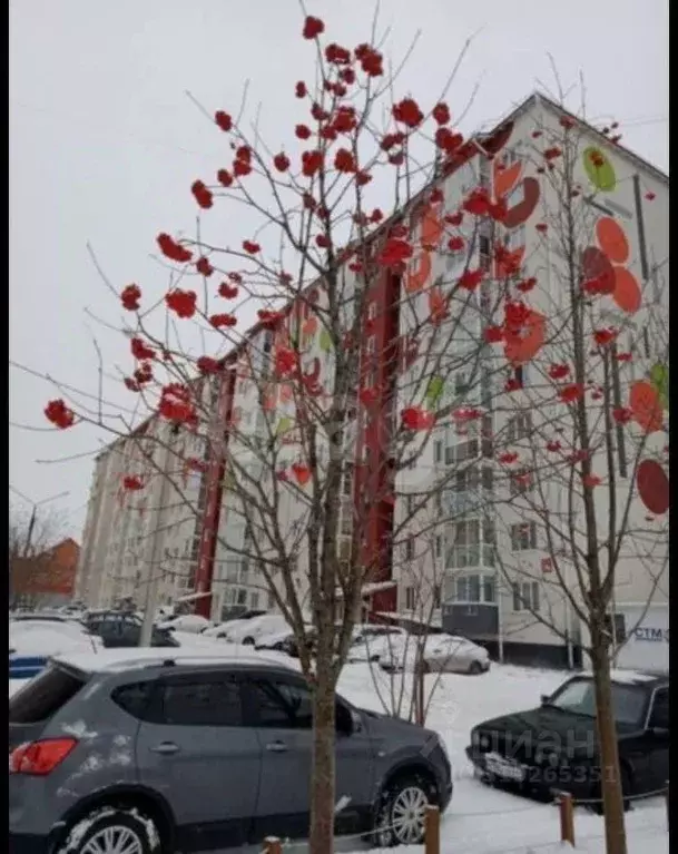 1-к кв. Курская область, Курск Рябиновая ул., 26Б (33.0 м) - Фото 0