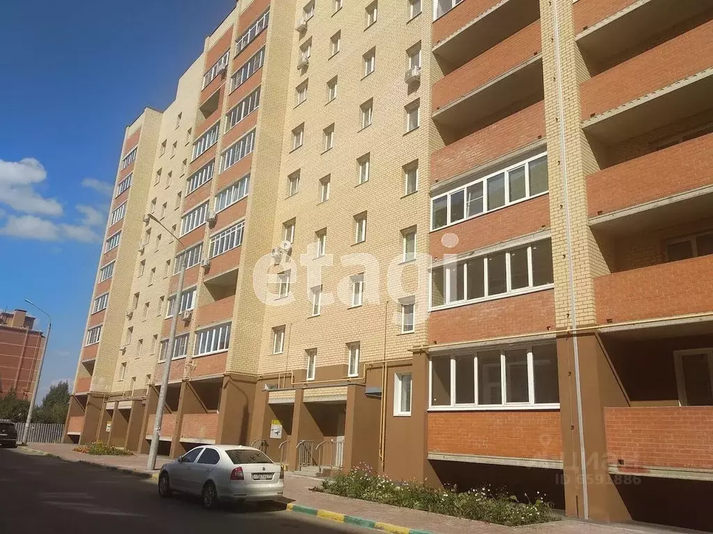 Wildberries тула. Ул октябрьская 217 корп 1. Ул октябрьская 217 корп 1. Ул октябрьская 217 корп 1. Октябрьская 217 тула.