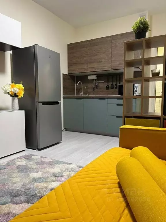 Студия Московская область, Ногинск Богородский городской округ, ул. ... - Фото 1