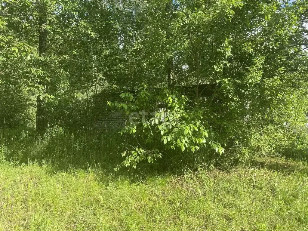 Дом в Брянская область, Брянский район, Нетьинское с/пос, Лесная ... - Фото 1