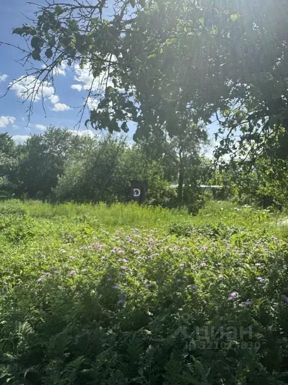 Участок в Саратовская область, Саратов ул. Завидная (4.0 сот.) - Фото 2