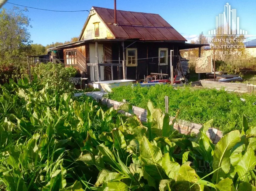 Дом в Камчатский край, Елизово Здоровье СНТ, ул. Солнечная (45 м) - Фото 2