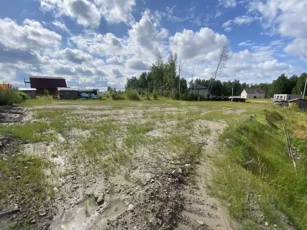 Участок в Санкт-Петербург пос. Парголово, Осиновая Роща исторический ... - Фото 1