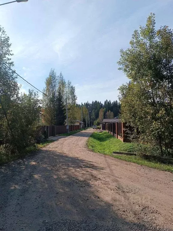 Участок, 280.5 сот., фермерское хоз-во - Фото 0