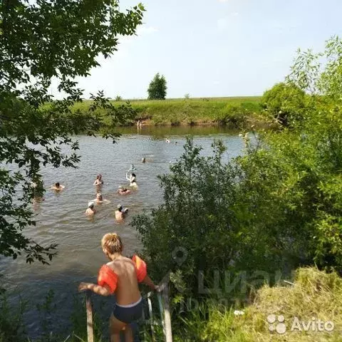 Участок в Московская область, Луховицы городской округ, д. Головачево, ... - Фото 1