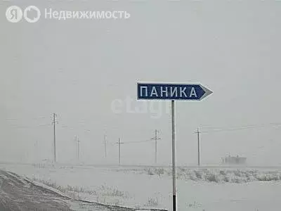 Участок в Оренбургский район, Пугачёвский сельсовет, село Паника, ... - Фото 1