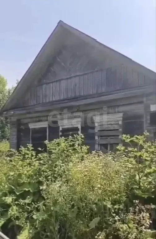 Дом в Брянская область, Почепский район, Рамасуха рп ул. Брянская (50 ... - Фото 1