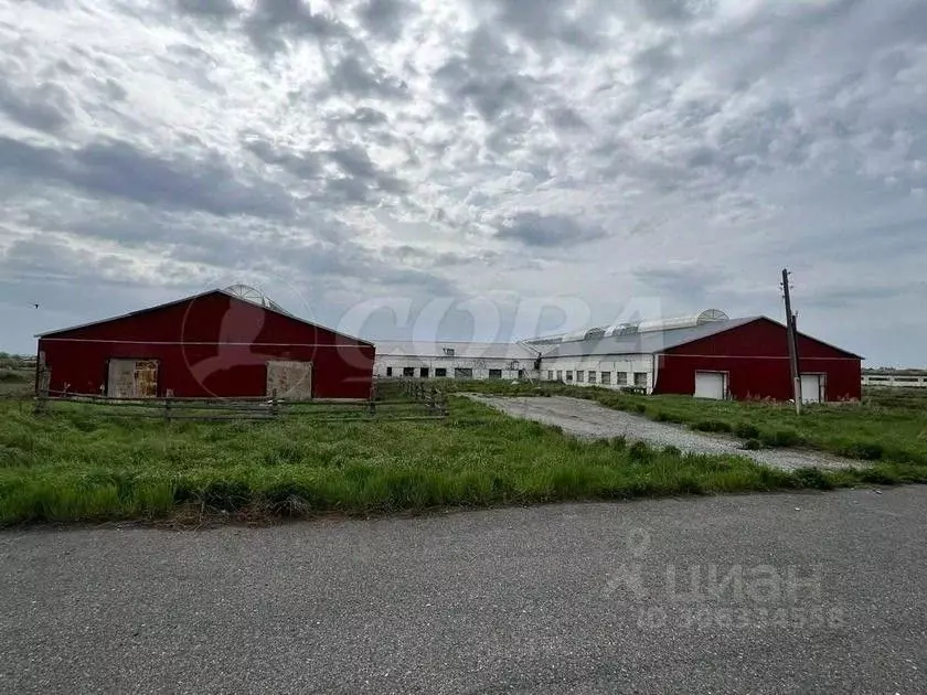 производственное помещение в тюменская область, исетский район, с. . - Фото 0