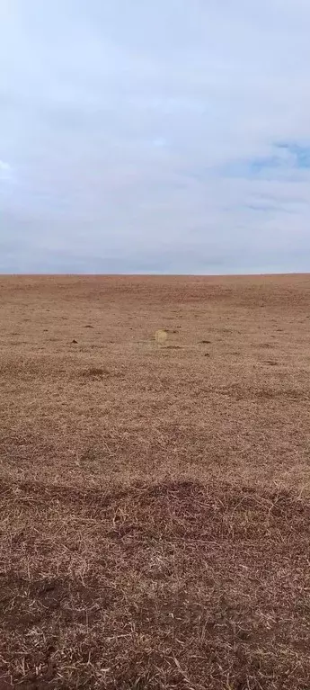 Участок в Иркутская область, Баяндаевский район, с. Тургеневка  (10.0 ... - Фото 2