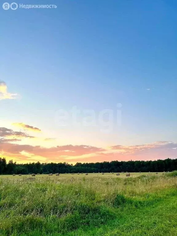 Участок в Калужская область, Боровский муниципальный округ, деревня ... - Фото 1