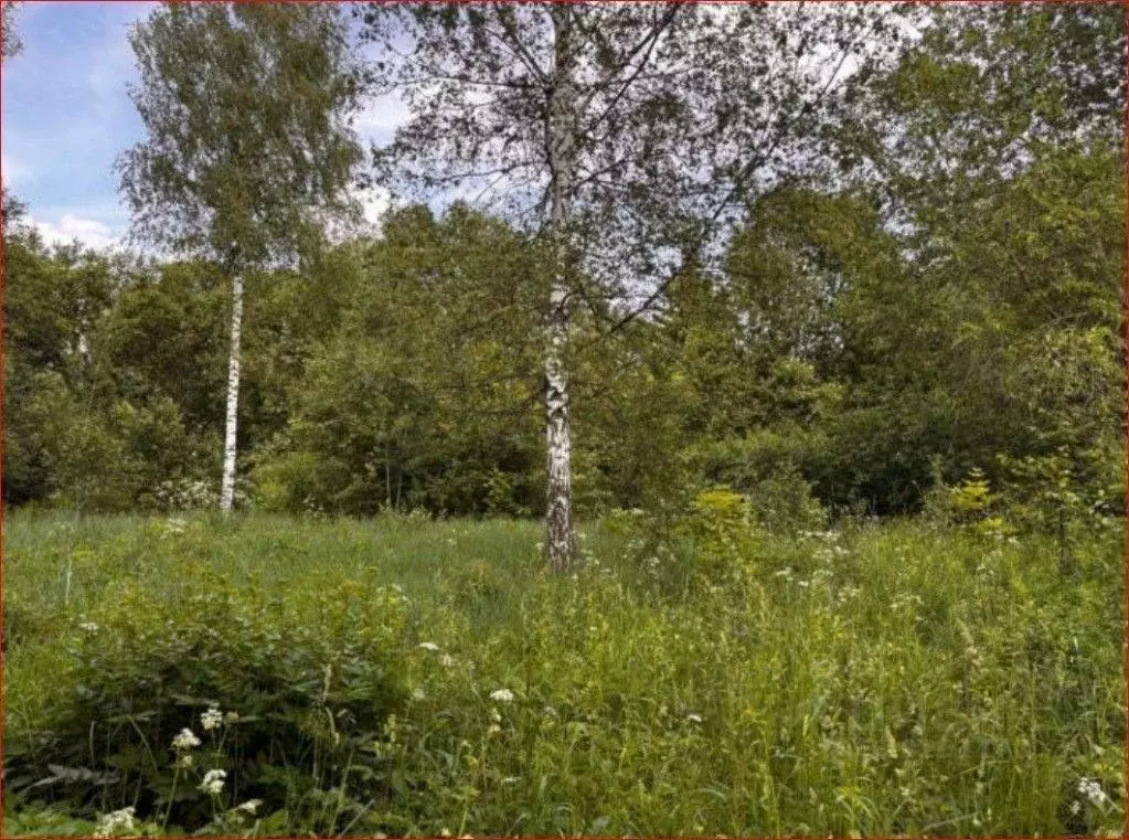 Участок в Московская область, Можайский муниципальный округ, д. ... - Фото 1