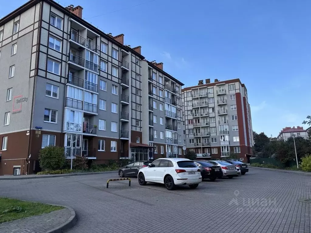 Студия Калининградская область, Светлогорск Яблоневая ул., 10 (24.0 м) - Фото 1