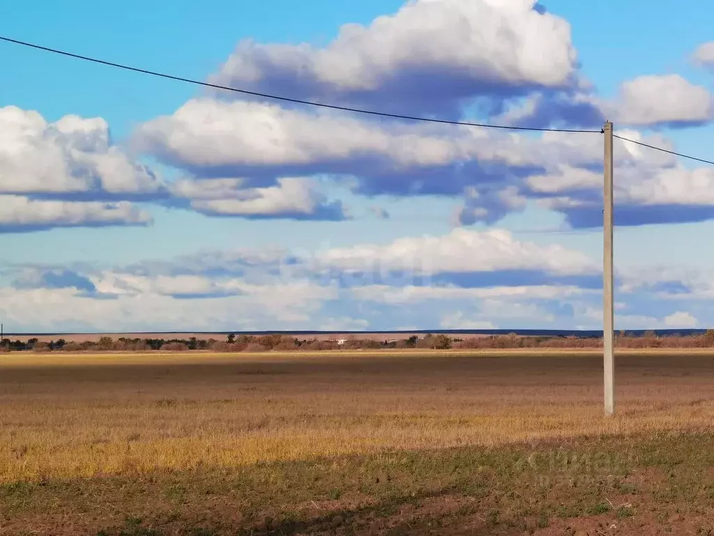 Участок в Крым, Черноморский район, Окуневское с/пос, с. Громово  ... - Фото 1
