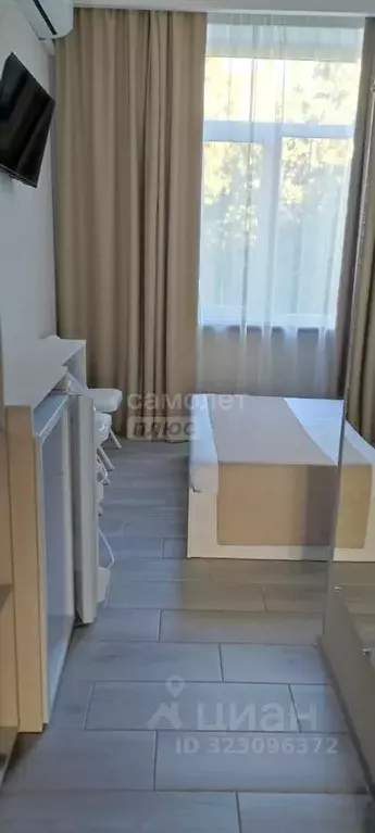 Студия Крым, Ялта муниципальный округ, Симеиз пгт ул. Владимира ... - Фото 1