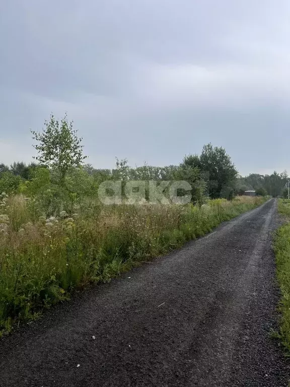Участок 10 сот. (СНТ, ДНП) - Фото 1