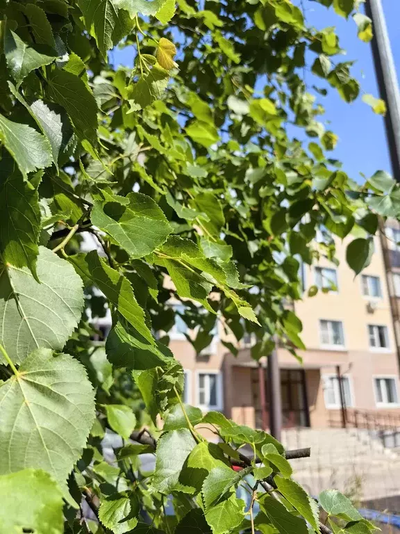 Продаётся 1-к квартира, 36 м - Фото 1