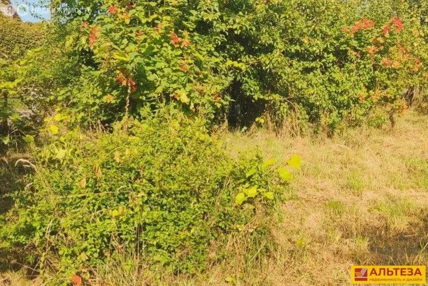 Участок в Светлогорск, СНТ Радуга, 10-я линия, 38 (4.5 м) - Фото 2