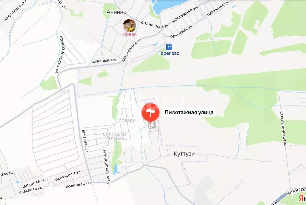 Участок в Аннинское городское поселение, деревня Куттузи, Пилотажная ... - Фото 2