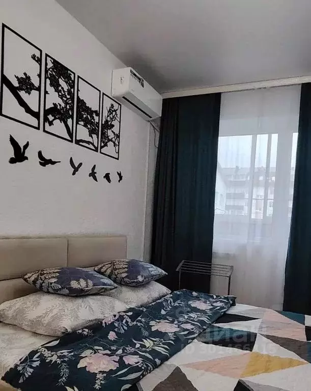 Студия Алтай, Горно-Алтайск Заринская ул., 25 (23.0 м) - Фото 2