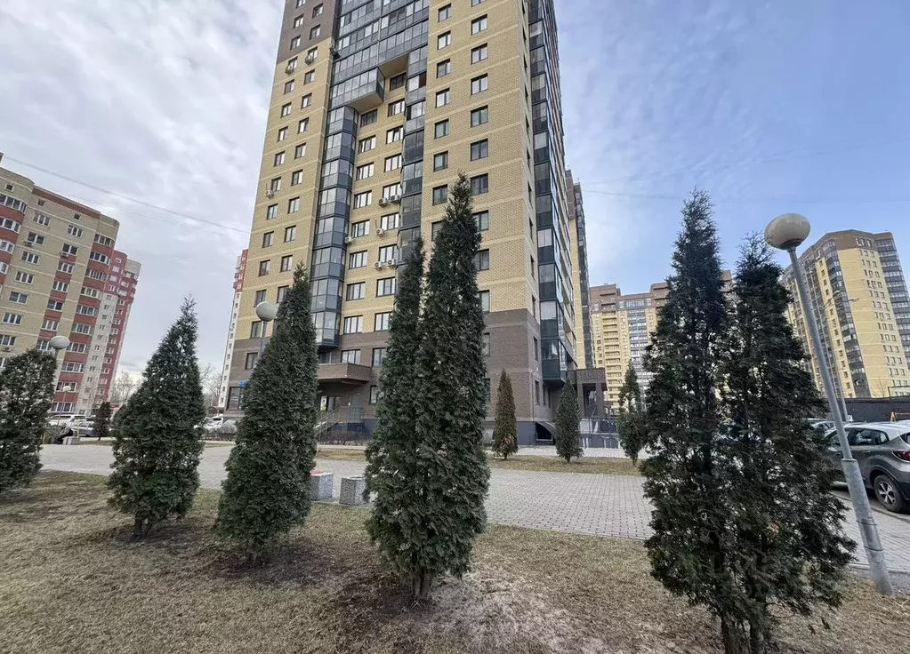 Студия Московская область, Электросталь ул. Захарченко, 8 (31.0 м) - Фото 2