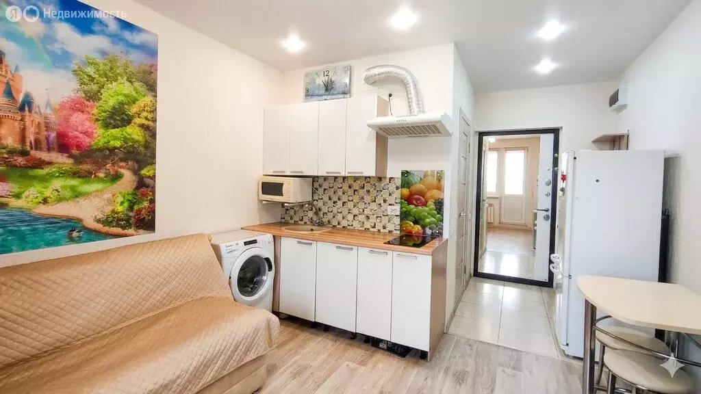 Квартира-студия: село Засечное, Светлая улица, 13 (20 м) - Фото 2