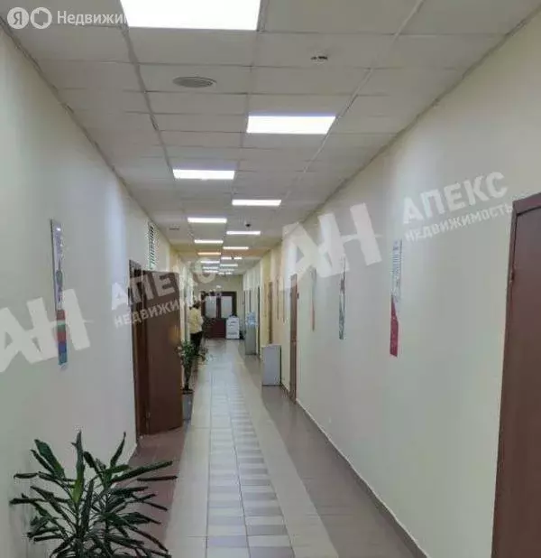 Офис (1321 м) - Фото 2