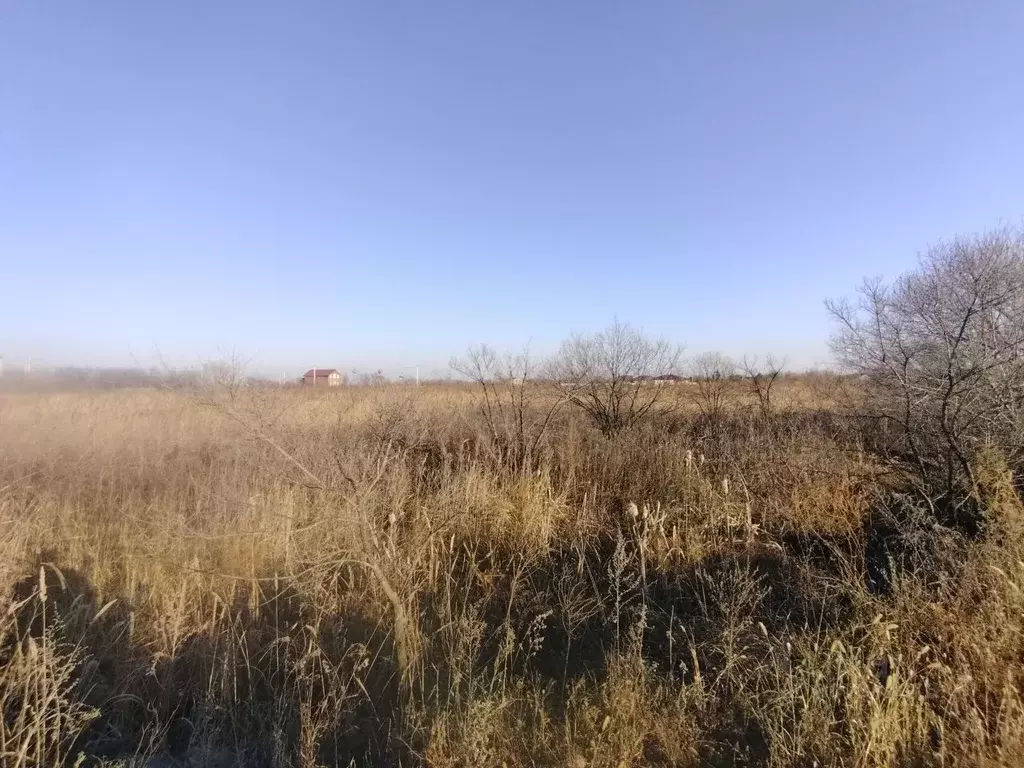 Участок в Приморский край, Октябрьский муниципальный округ, с. ... - Фото 1