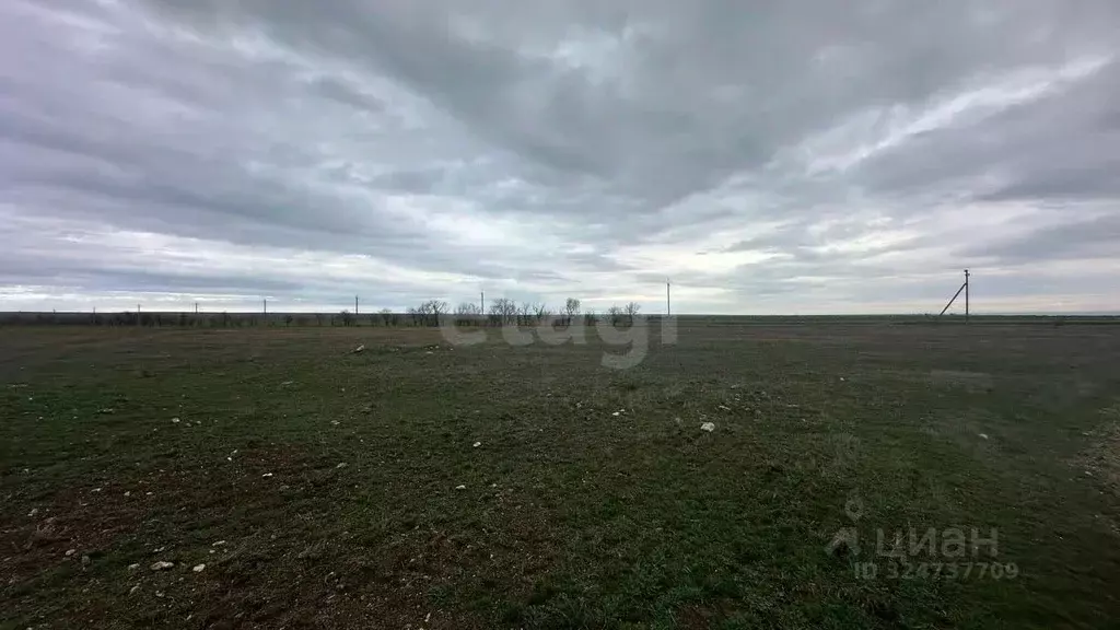 Участок в Крым, Черноморский район, с. Окуневка  (428.73 сот.) - Фото 1