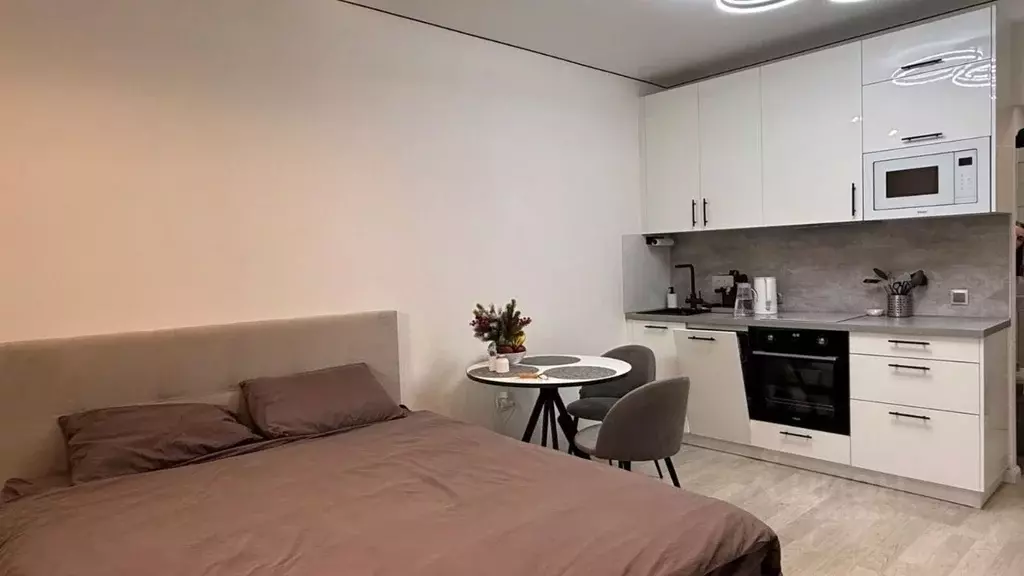 Студия Санкт-Петербург пос. Шушары, ул. Окуловская, 18 (25.4 м) - Фото 2